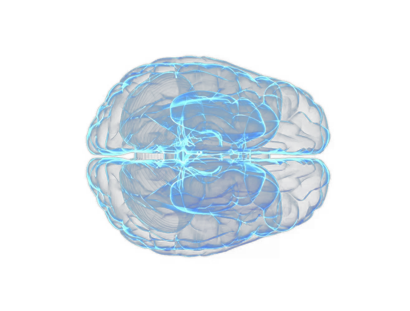 ANU brain logo