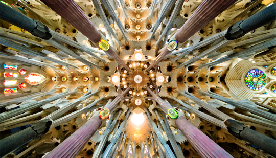 The ceiling inside Sagrada Familia, Barcelona