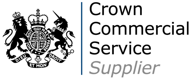 Digital Outcomes supplier logo