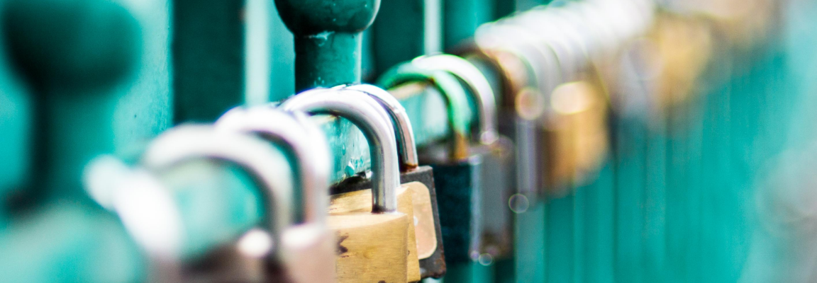 Row of locks on a green fence