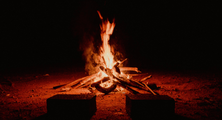 Campfire in the dark