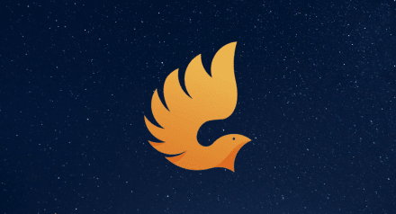 Falcon phoenix logo on starry background