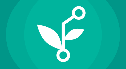 Web development support